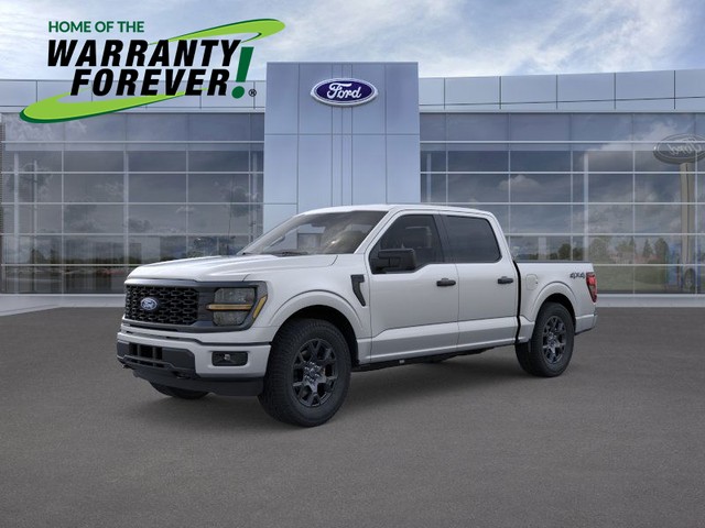 more details - ford f-150