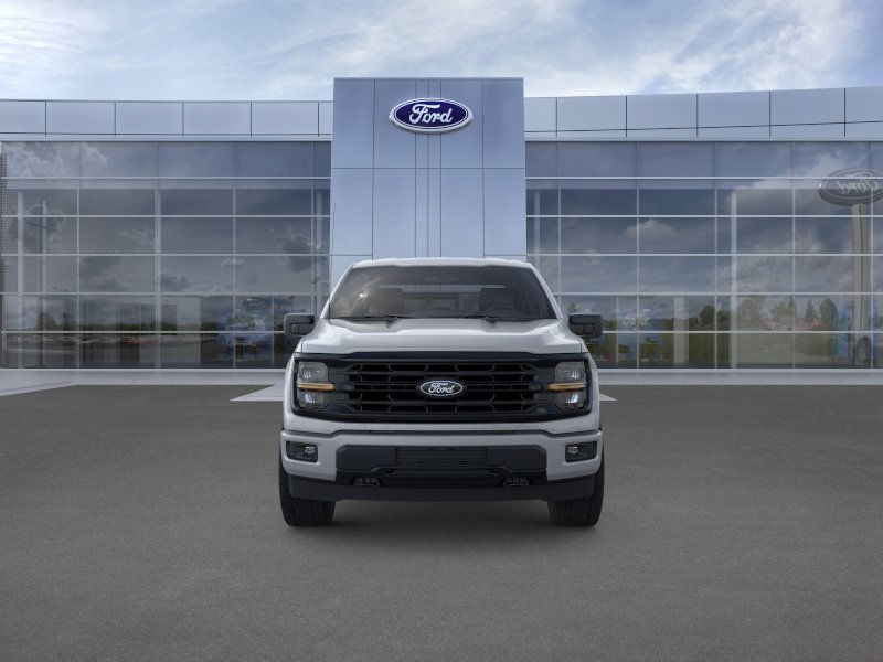 Ford F-150 Vehicle Image 08