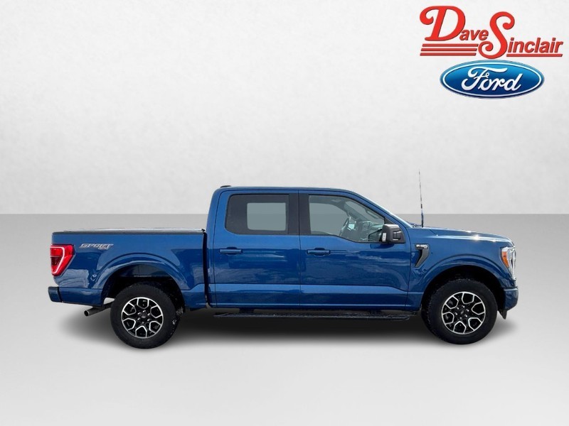 Ford F-150 Vehicle Image 05