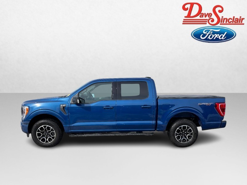 Ford F-150 Vehicle Image 10