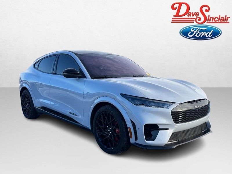 Ford Mustang Mach-E Vehicle Image 04