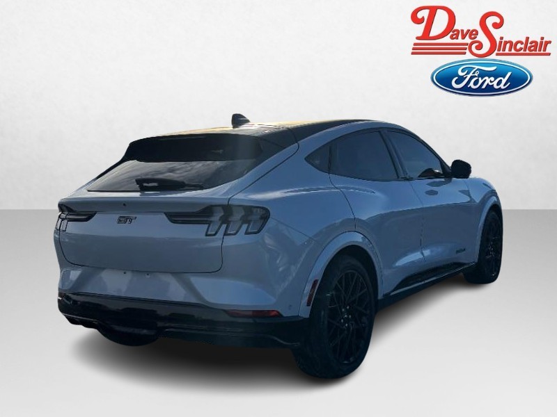 Ford Mustang Mach-E Vehicle Image 07