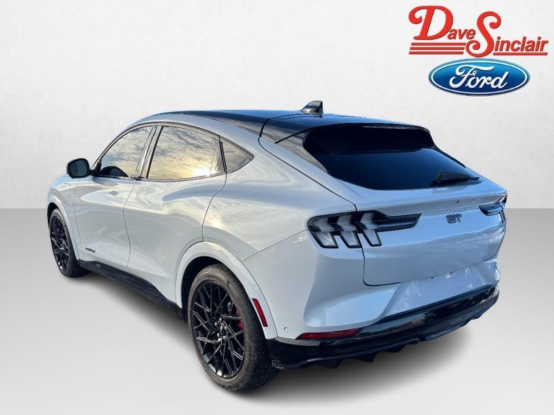 Ford Mustang Mach-E Vehicle Image 09