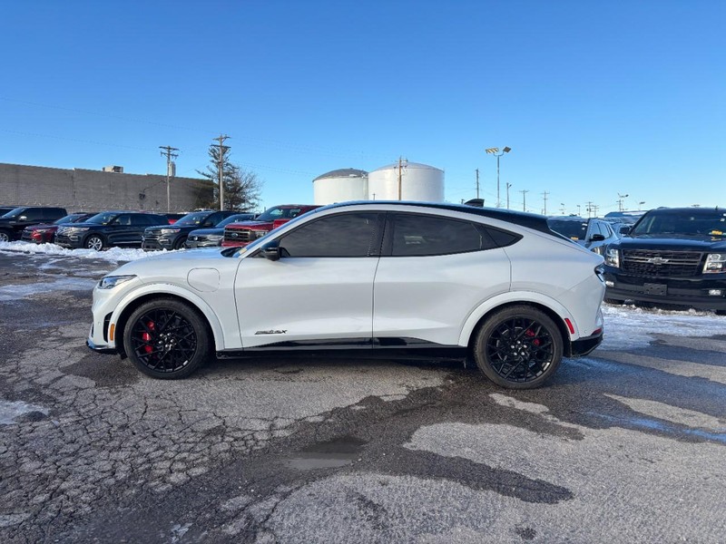 Ford Mustang Mach-E Vehicle Image 11