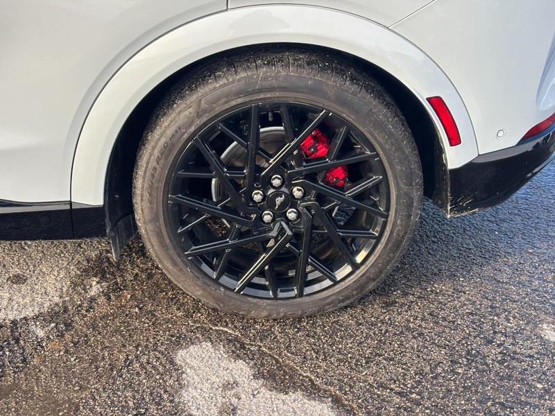 Ford Mustang Mach-E Vehicle Image 12