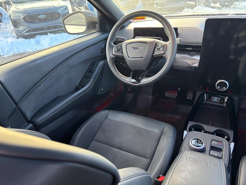 Ford Mustang Mach-E Vehicle Image 14