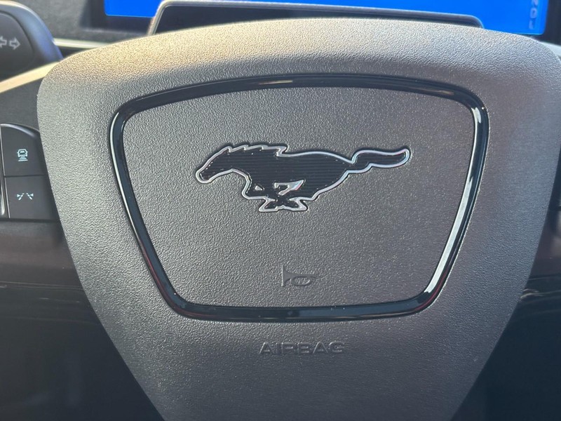 Ford Mustang Mach-E Vehicle Image 21