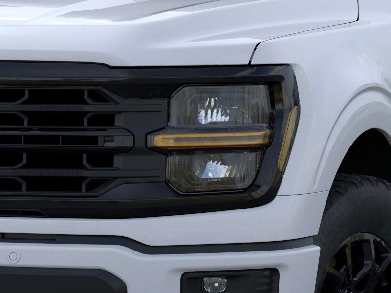 Ford F-150 Vehicle Image 20