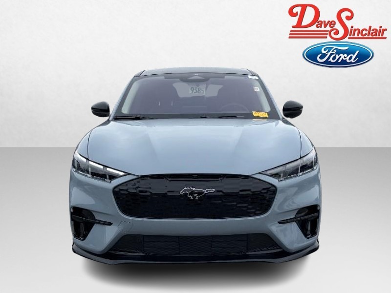 Ford Mustang Mach-E Vehicle Image 02