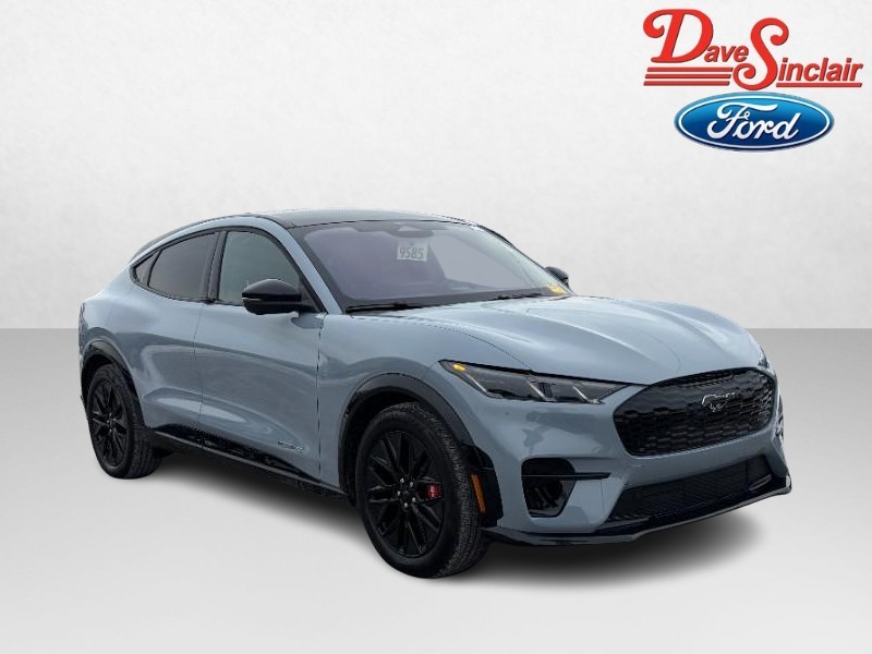 Ford Mustang Mach-E Vehicle Image 04