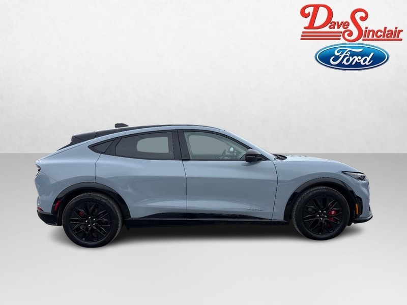 Ford Mustang Mach-E Vehicle Image 05