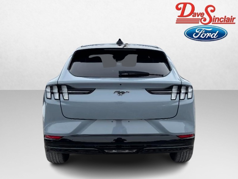 Ford Mustang Mach-E Vehicle Image 08