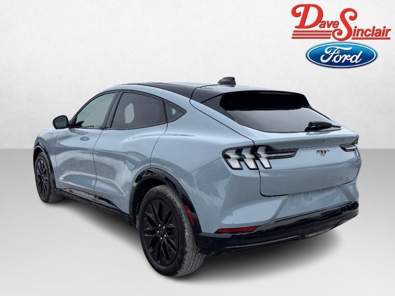 Ford Mustang Mach-E Vehicle Image 09