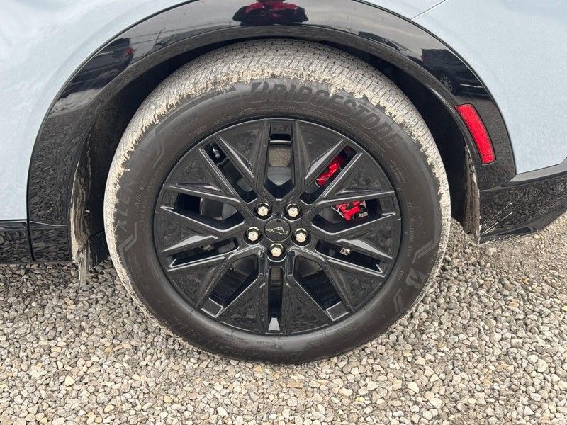 Ford Mustang Mach-E Vehicle Image 11