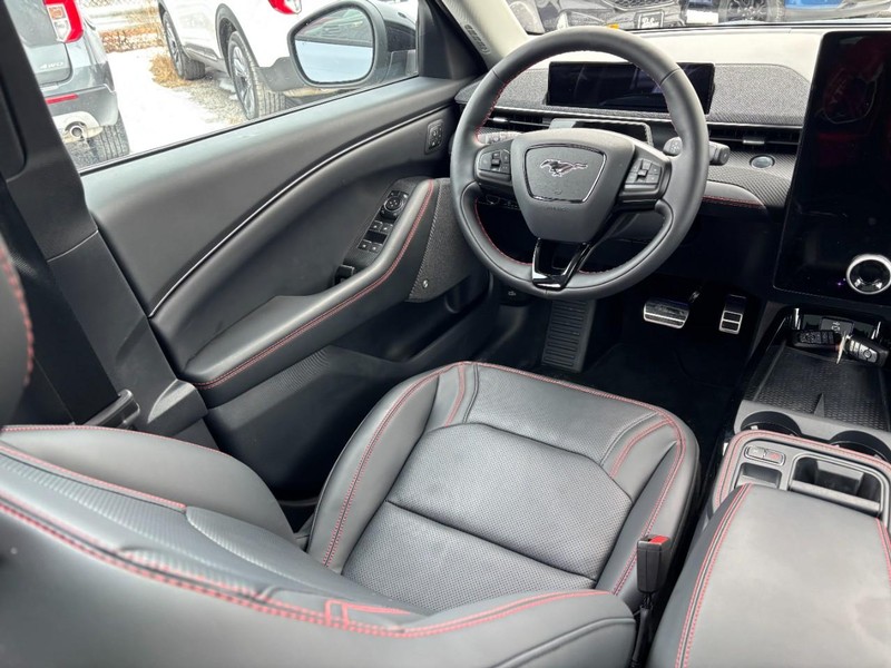 Ford Mustang Mach-E Vehicle Image 13