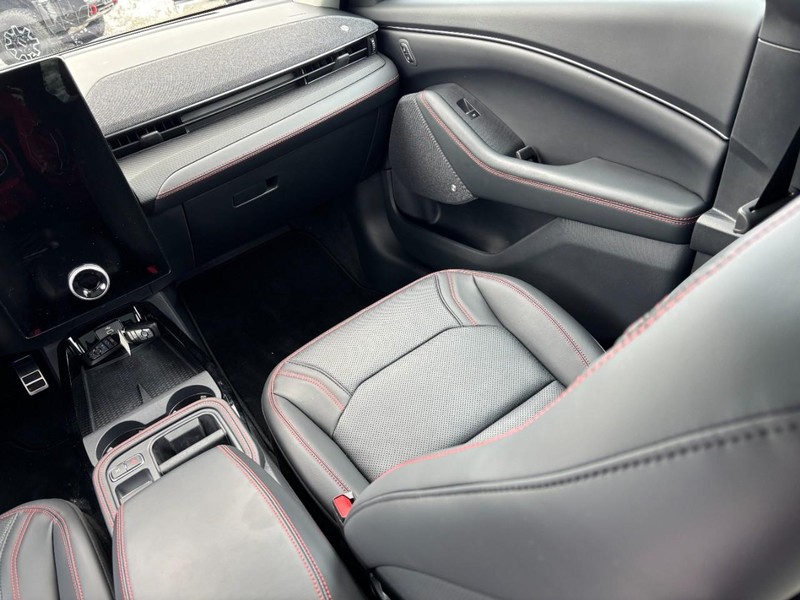 Ford Mustang Mach-E Vehicle Image 15