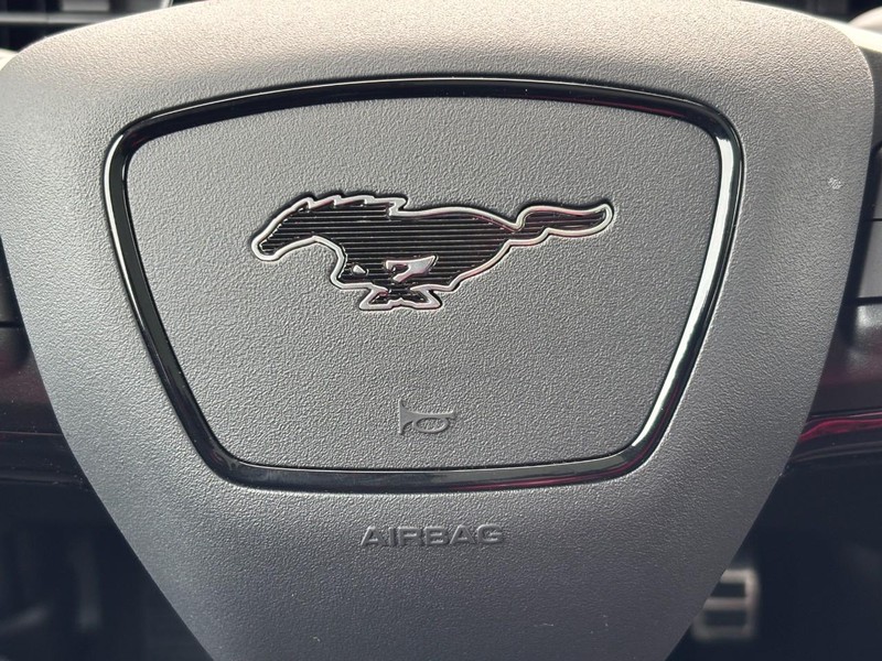 Ford Mustang Mach-E Vehicle Image 20