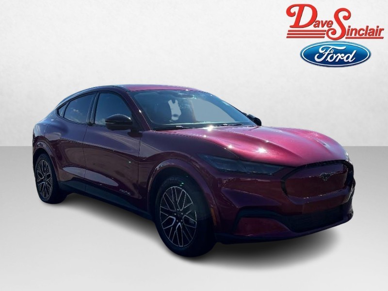 Ford Mustang Mach-E Vehicle Full-screen Gallery Image 04