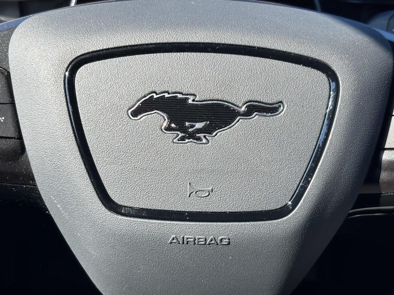 Ford Mustang Mach-E Vehicle Full-screen Gallery Image 19