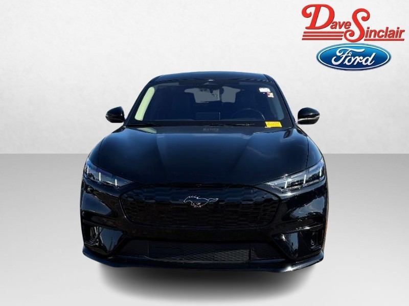 Ford Mustang Mach-E Vehicle Full-screen Gallery Image 02