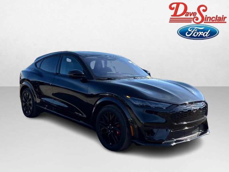 Ford Mustang Mach-E Vehicle Full-screen Gallery Image 04