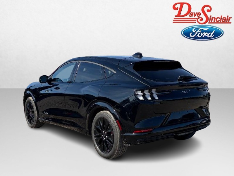 Ford Mustang Mach-E Vehicle Full-screen Gallery Image 09