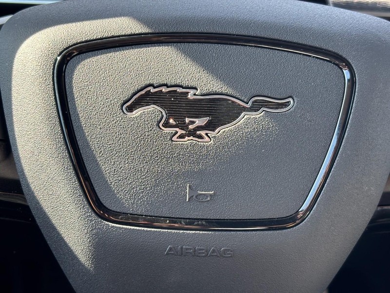 Ford Mustang Mach-E Vehicle Full-screen Gallery Image 19