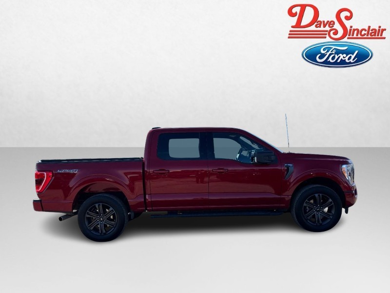Ford F-150 Vehicle Full-screen Gallery Image 05