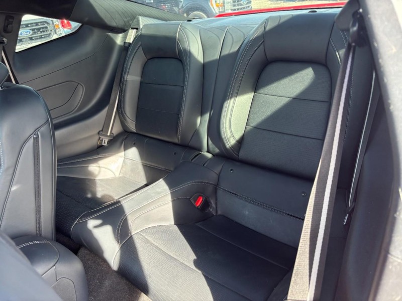 Ford Mustang Vehicle Image 12