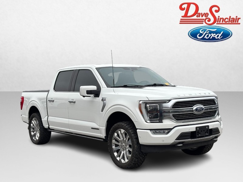 Ford F-150 Vehicle Image 04