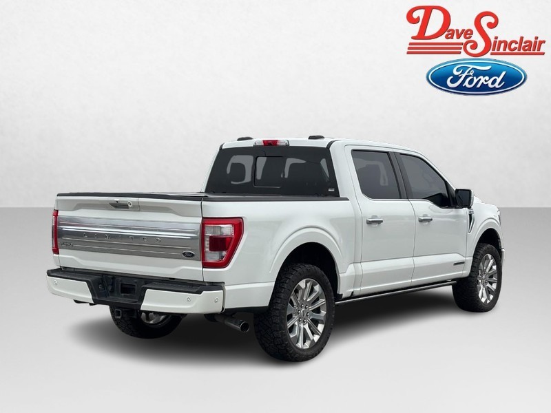 Ford F-150 Vehicle Image 07