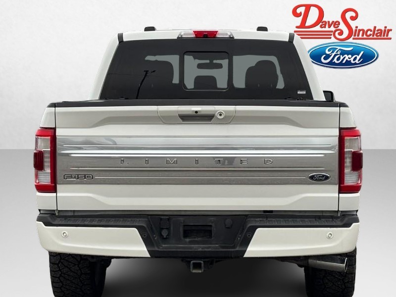 Ford F-150 Vehicle Image 08