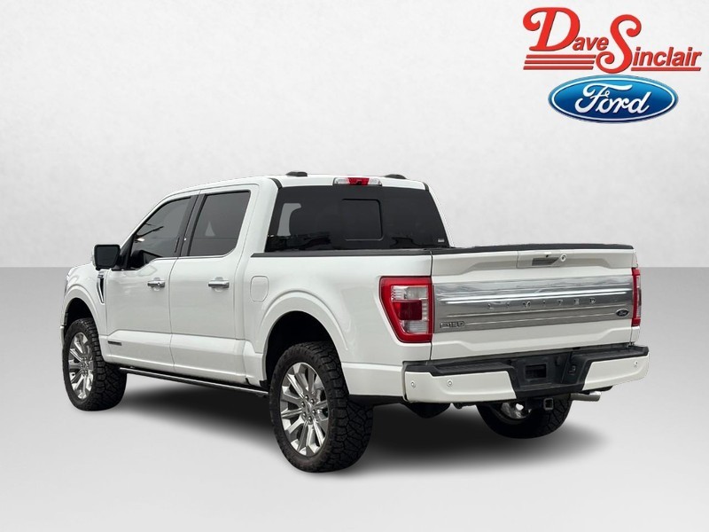 Ford F-150 Vehicle Image 09