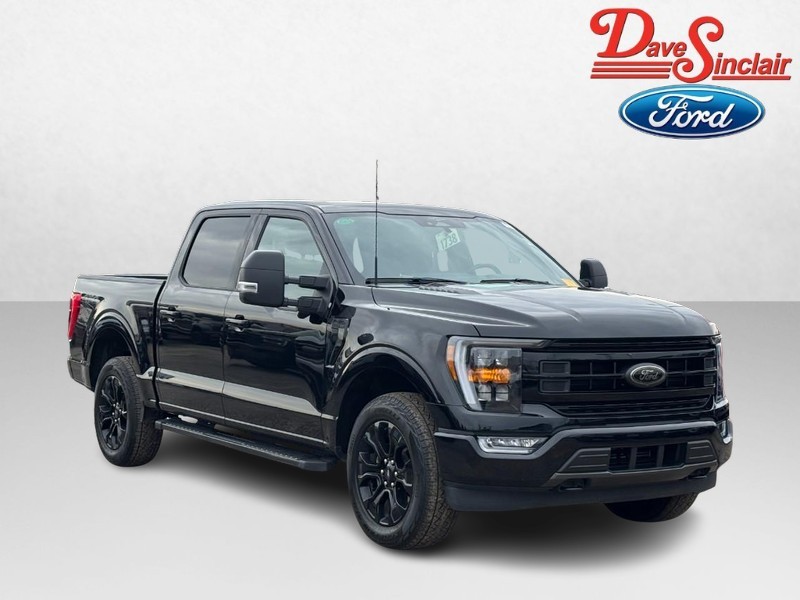 Ford F-150 Vehicle Full-screen Gallery Image 04