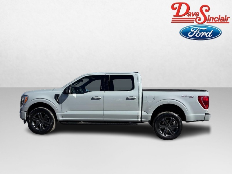 Ford F-150 Vehicle Full-screen Gallery Image 10