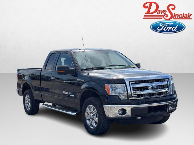 Ford F-150 Vehicle Image 04