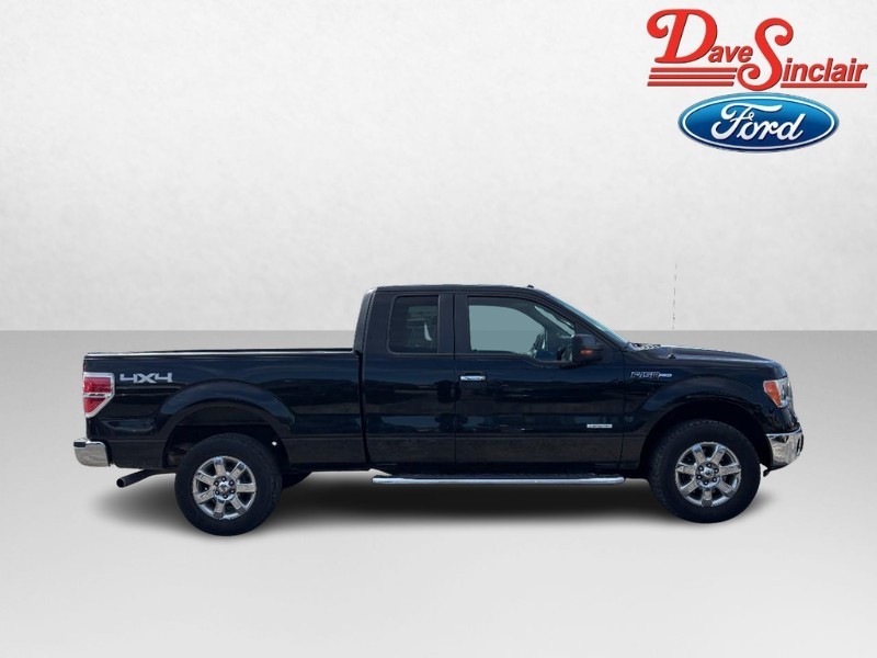 Ford F-150 Vehicle Image 05