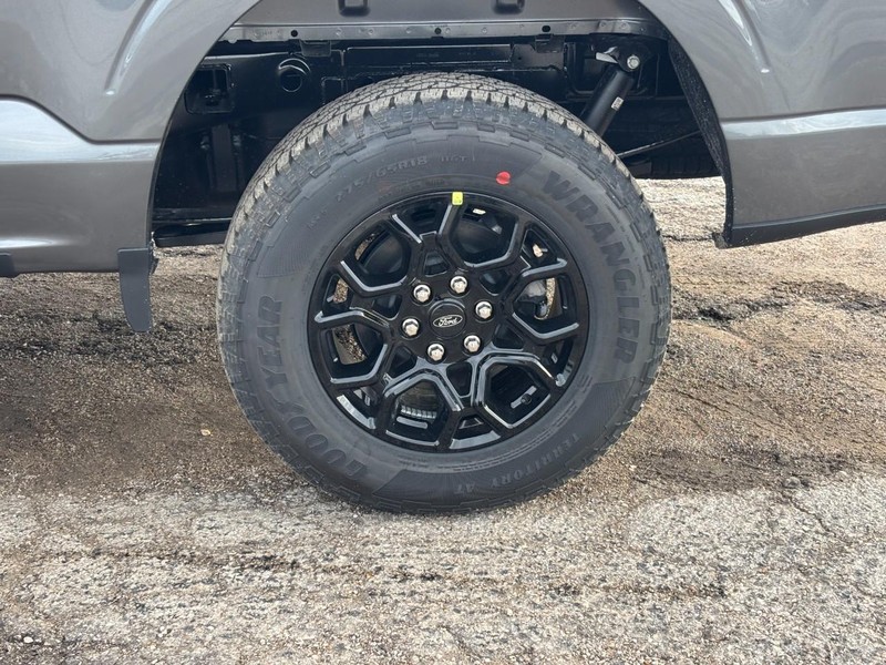 Ford F-150 Vehicle Full-screen Gallery Image 11