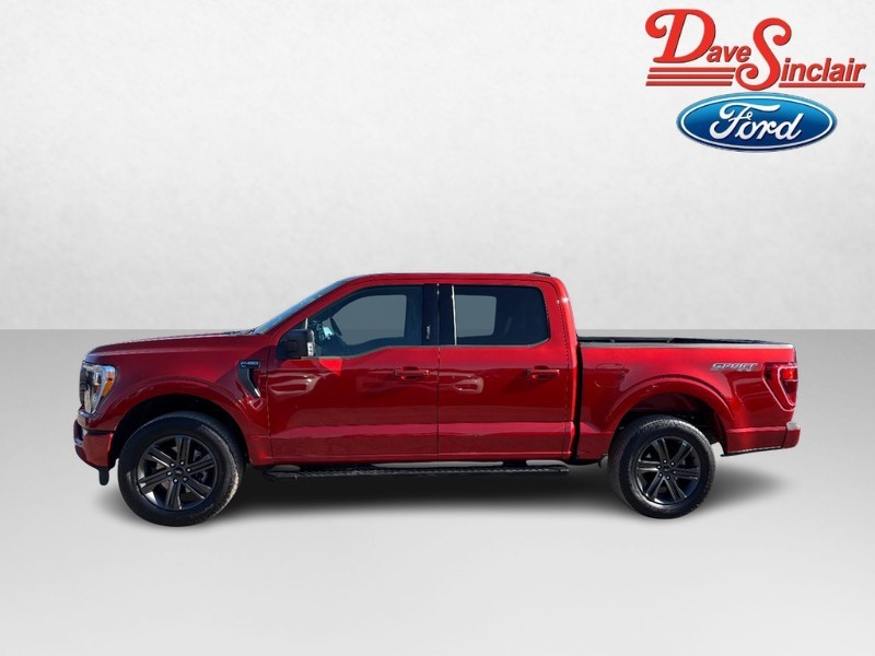 Ford F-150 Vehicle Full-screen Gallery Image 10