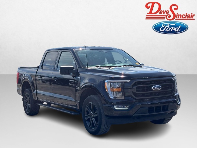 Ford F-150 Vehicle Image 04