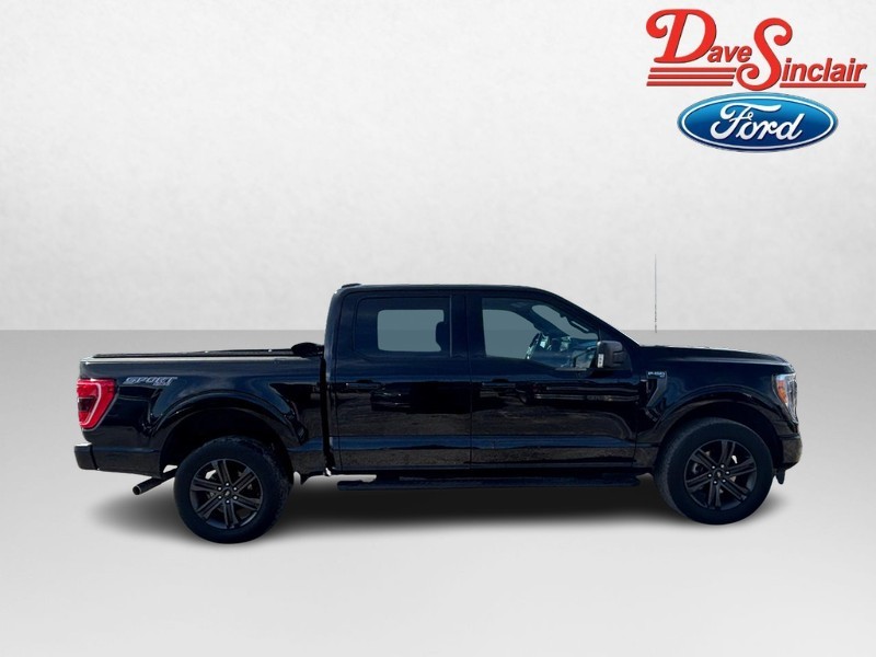 Ford F-150 Vehicle Image 05