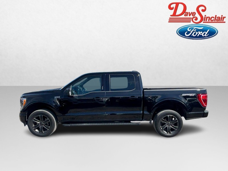 Ford F-150 Vehicle Image 10
