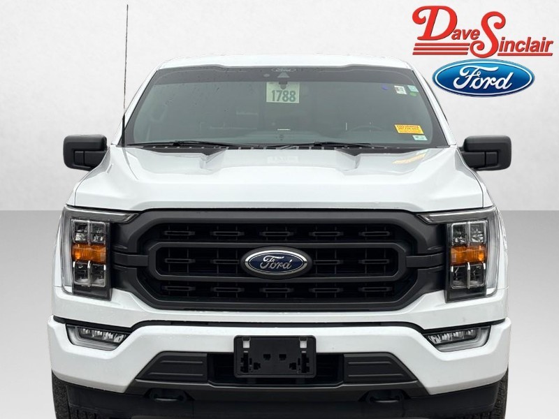 Ford F-150 Vehicle Image 02