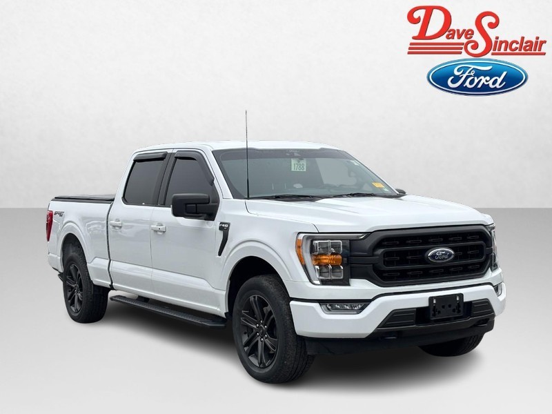 Ford F-150 Vehicle Image 04