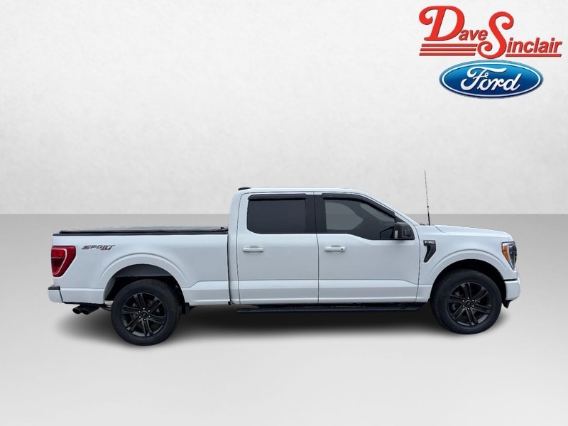Ford F-150 Vehicle Image 05