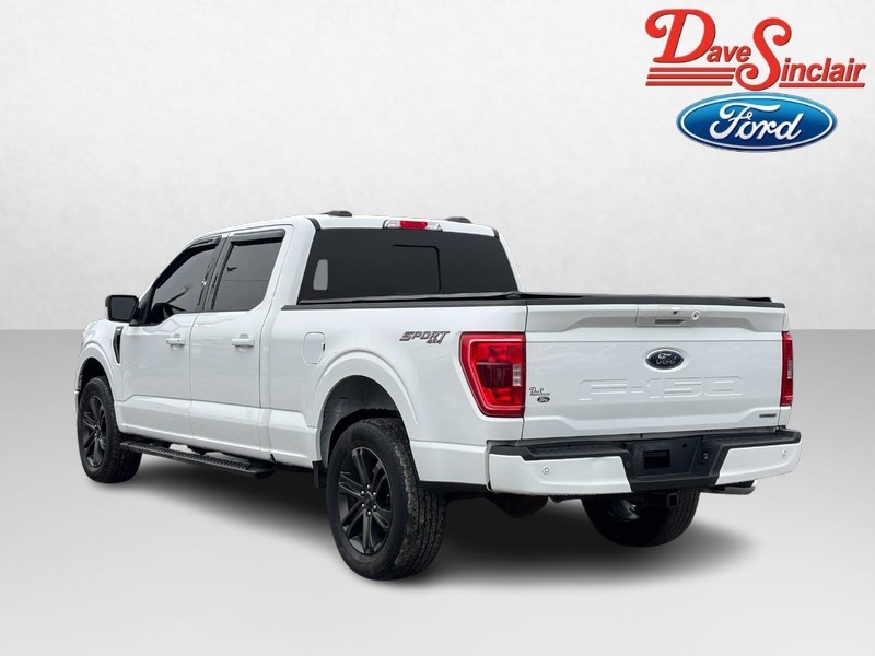 Ford F-150 Vehicle Image 09