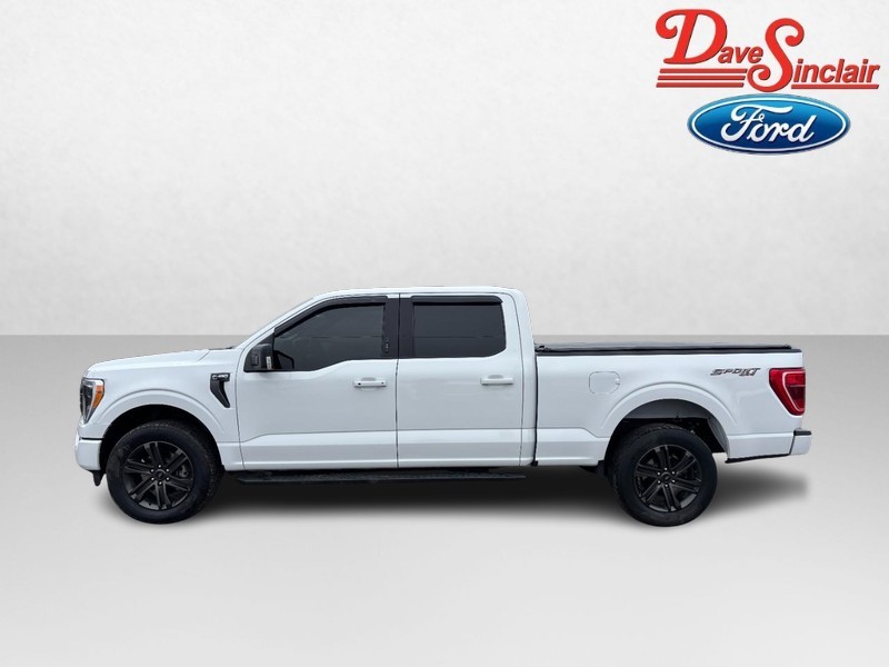 Ford F-150 Vehicle Image 10
