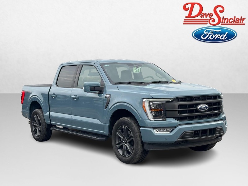 Ford F-150 Vehicle Image 04