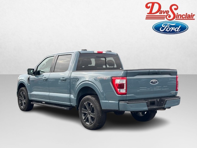 Ford F-150 Vehicle Image 09