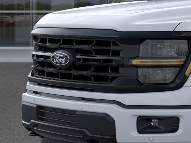 Ford F-150 Vehicle Image 19